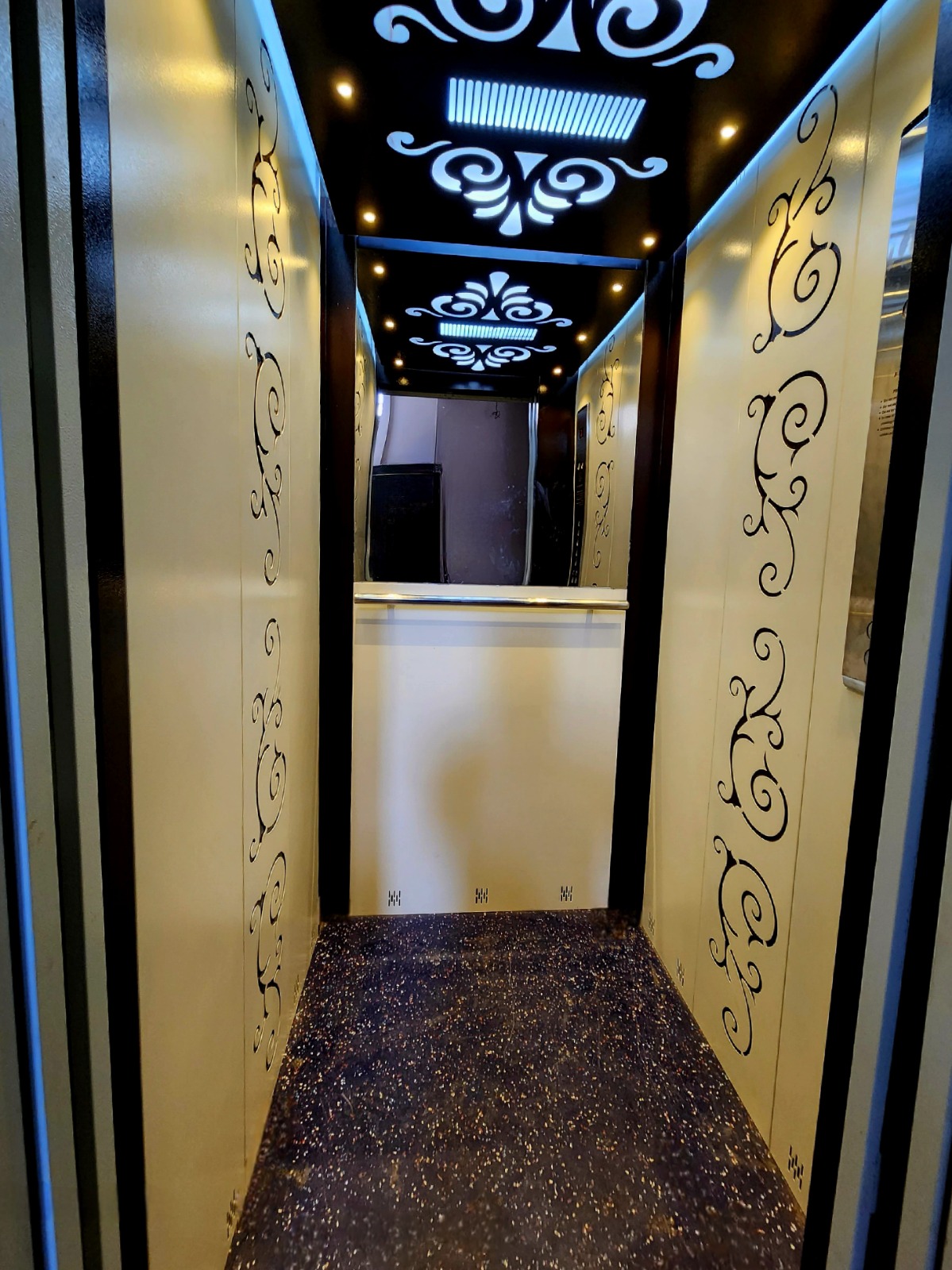 Electric Capsule Elevator